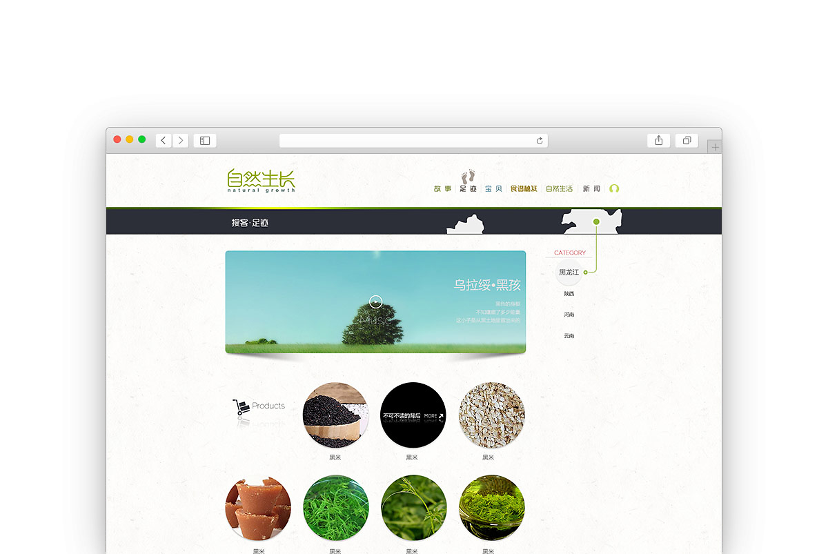 自然生长 品牌网站设计与制作的生态哲学
